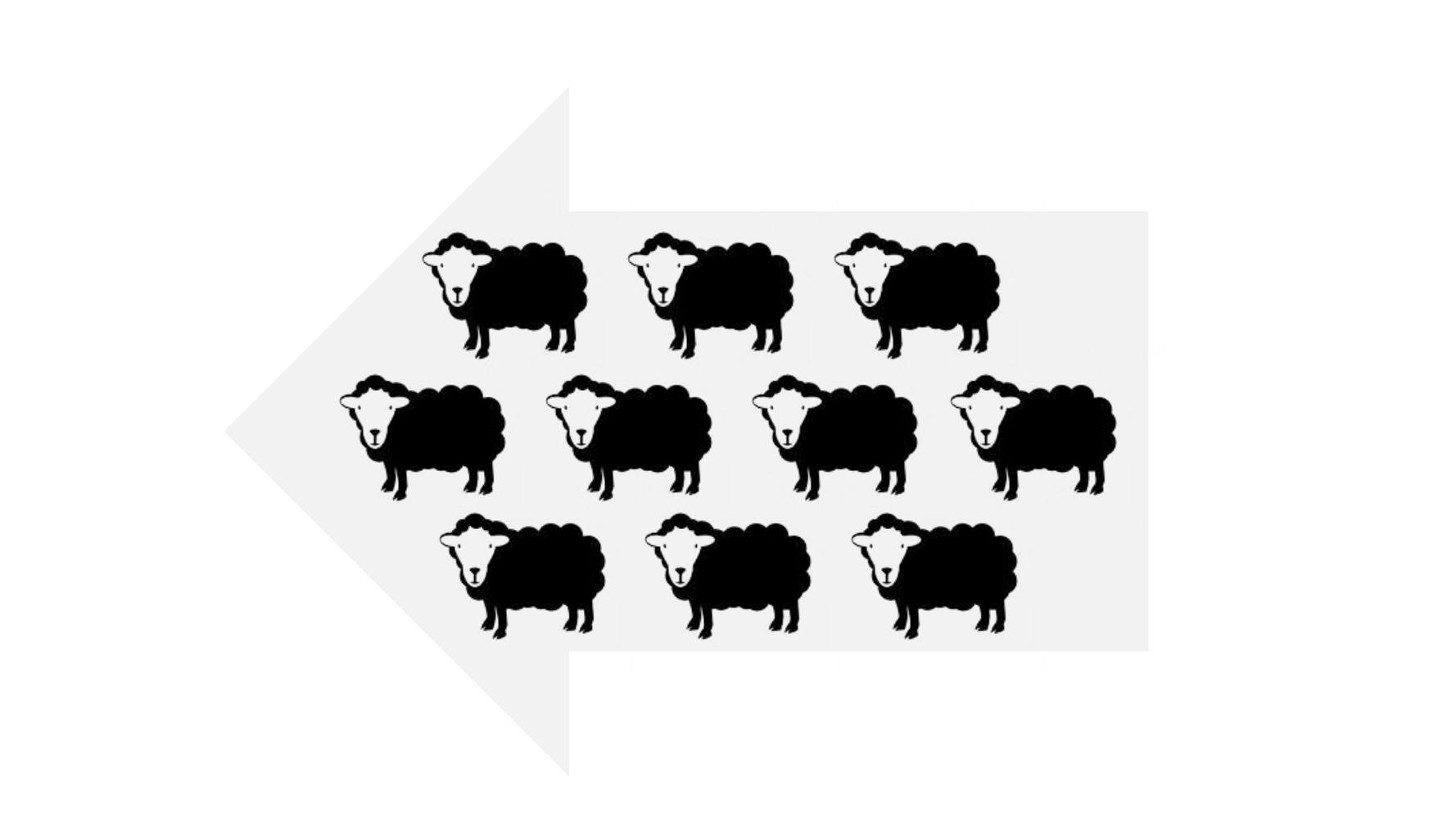 零基础玩转社群营销,分享干货社群营销