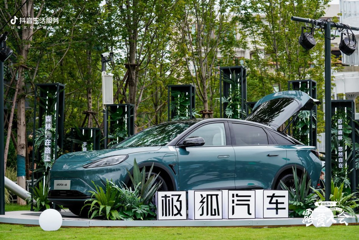 带你户外享受森林氧吧,天然森林氧吧露营