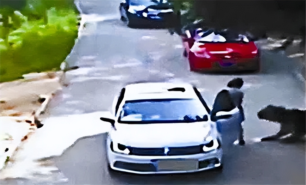 八达岭老虎咬人女子受伤情况,八达岭老虎伤人事件女毁容