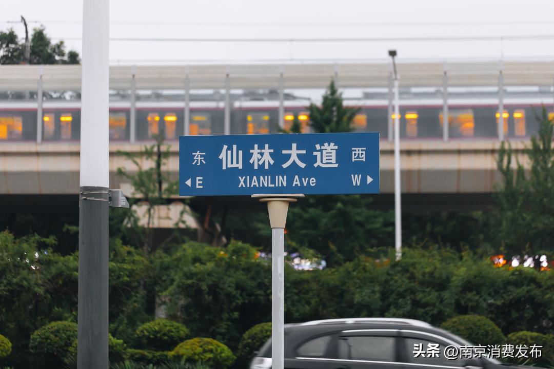 南京citywalk指南,南京12月份citywalk