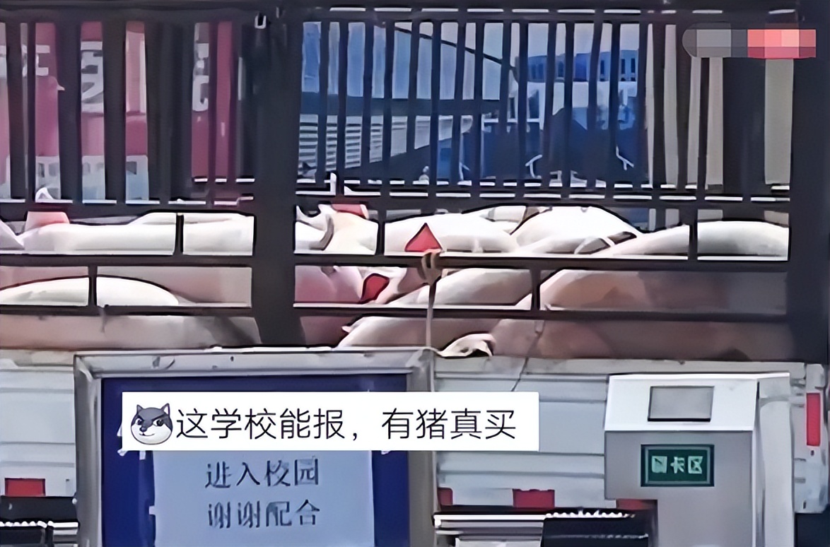 新一轮疫情哪些学校封校了,关于疫情期间各个高校封校