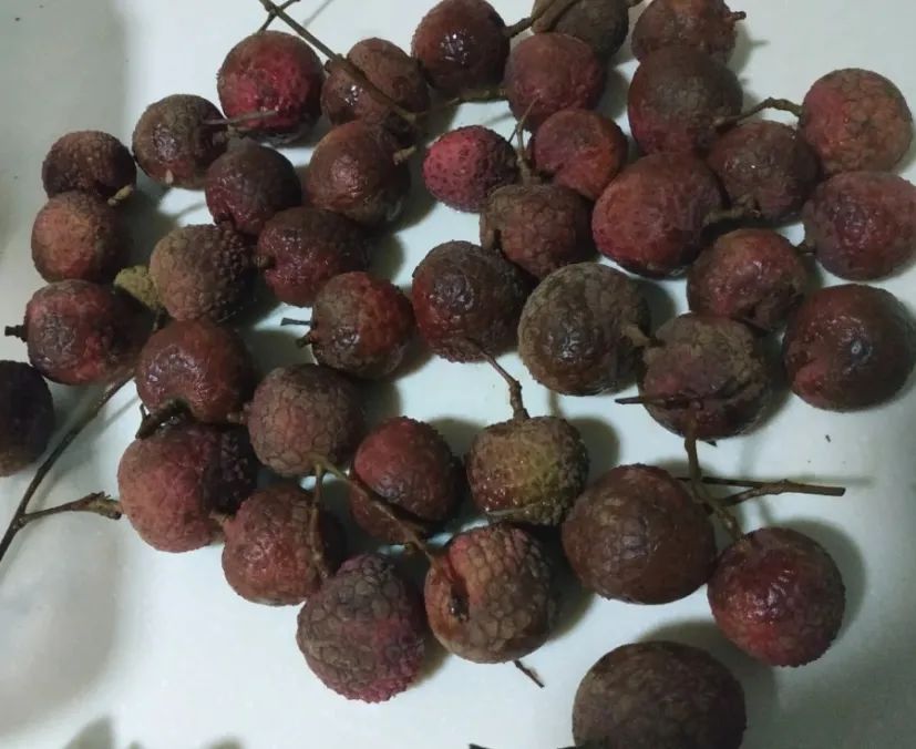 固态硬盘又涨价了吗,目前固态硬盘什么价格最好