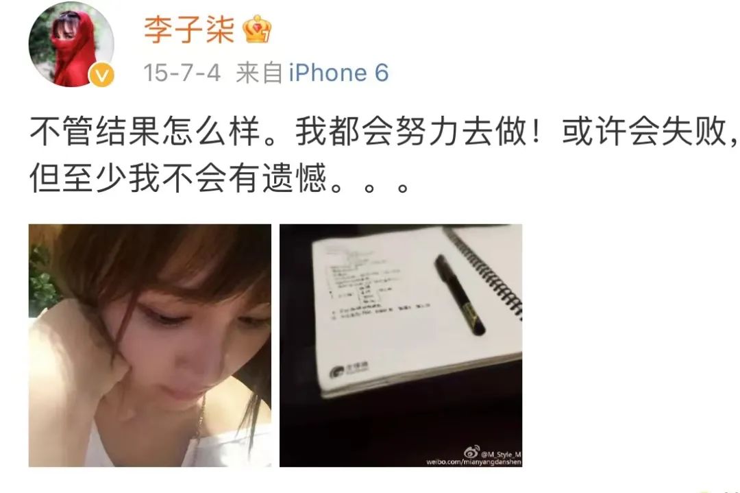 李子柒抖音收入,李子柒外网收益