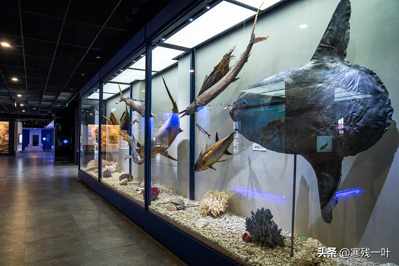 五一假期去哪玩最合适浙江,五一假期浙江最热门目的地