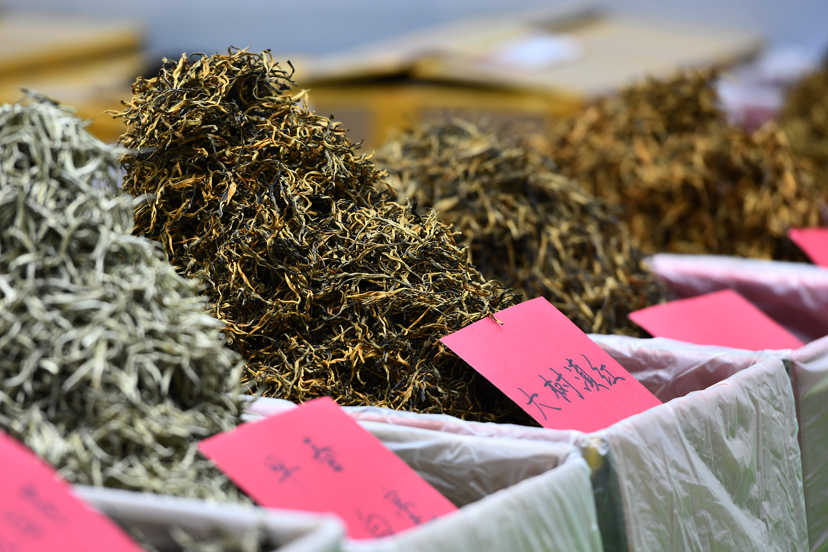 澜沧古茶港股上市,澜沧古茶上市分析