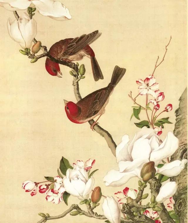 清代九大名家花鸟册页欣赏,清朝九大名家花鸟山水图