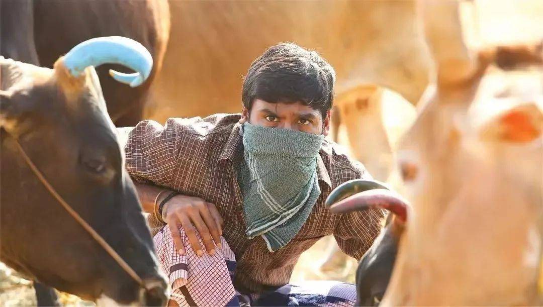 印度美女犯罪电影大全免费,印度电影犯罪大片国语