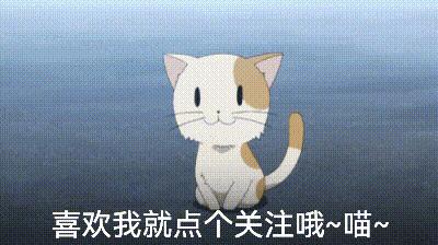 泰迪露肚皮是什么意思啊,泰迪露着肚子躺着睡觉