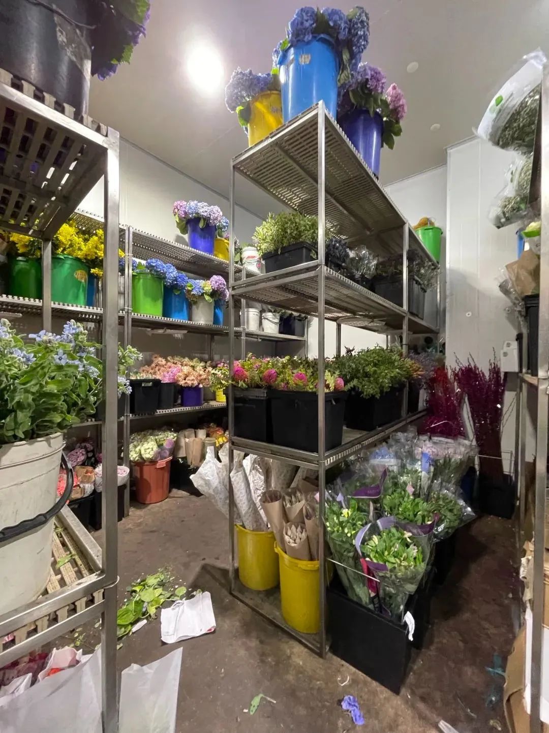 鲜花在水里能养几天会死,新加坡盆栽花卉怎么养