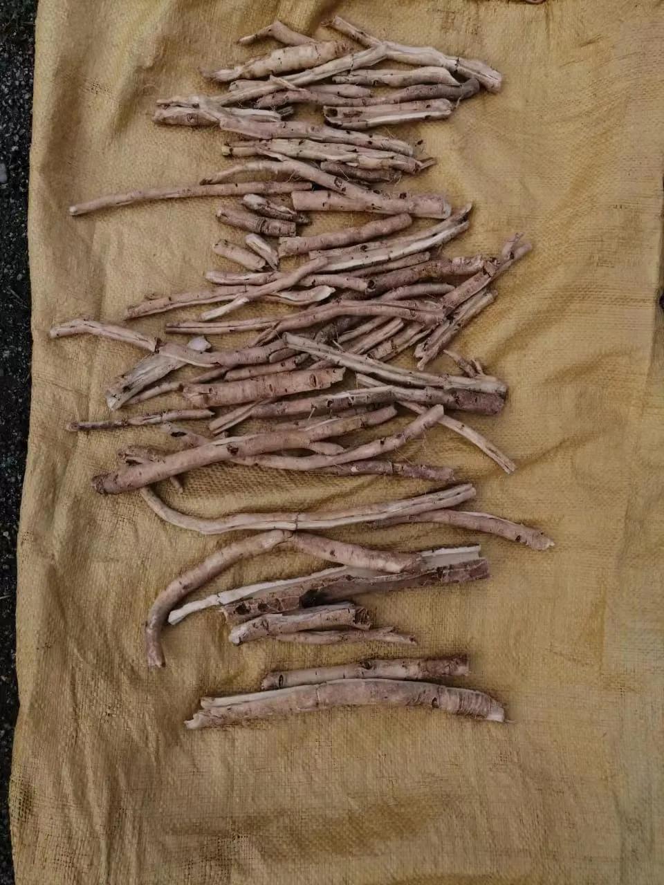 俄罗斯出口中国食品有哪些,中国进口俄罗斯中药材