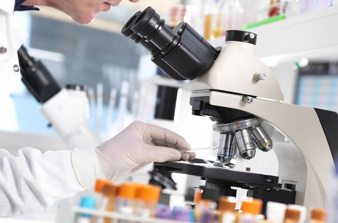 妙手仁心，守护健康美丽——医药健康学院