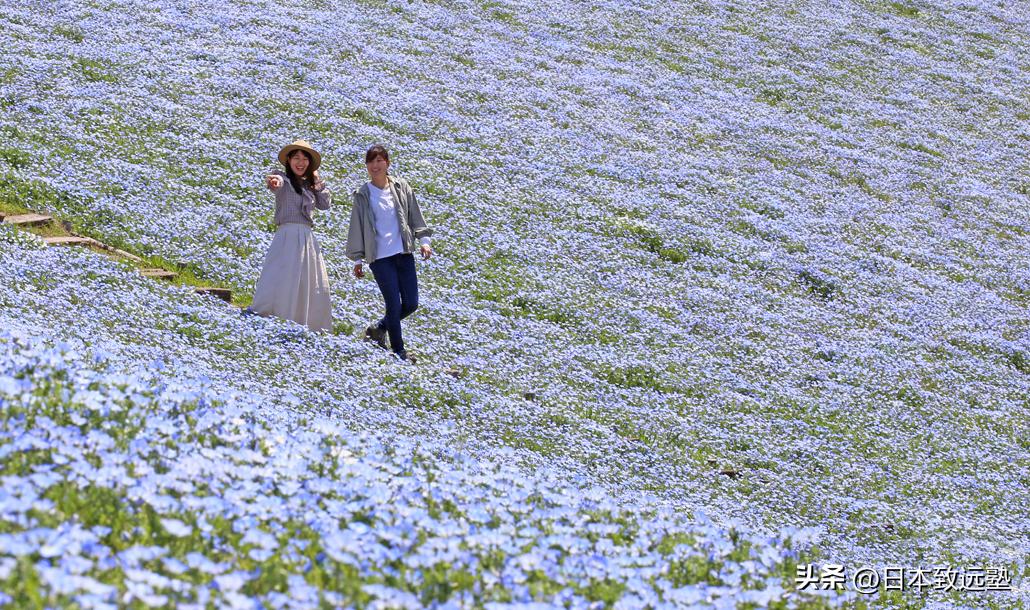 黄金周日本旅游,黄金周游玩攻略