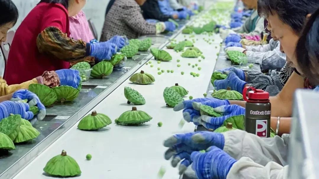 30个农村办厂项目200元创业小项目,50个投资办厂好项目农村赚钱商机