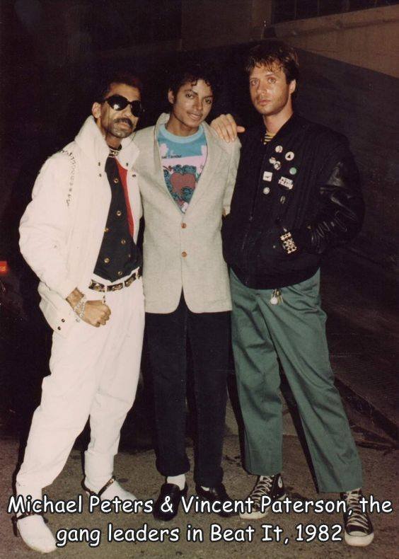 真实大象的照片,在野外拍到的真实大象