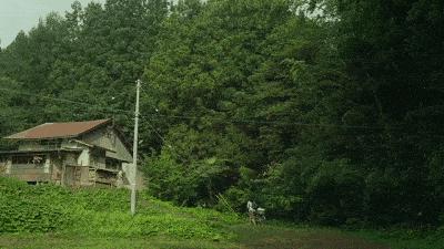 豆瓣9.0，日本乡间简素的一餐一饭，治好了无数人的“精神内耗”