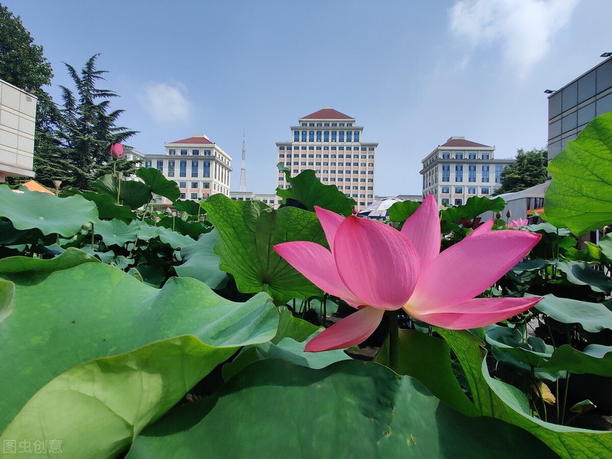 能考上顶尖985的考生，选了中央财经大学，哪些专业最受追捧？