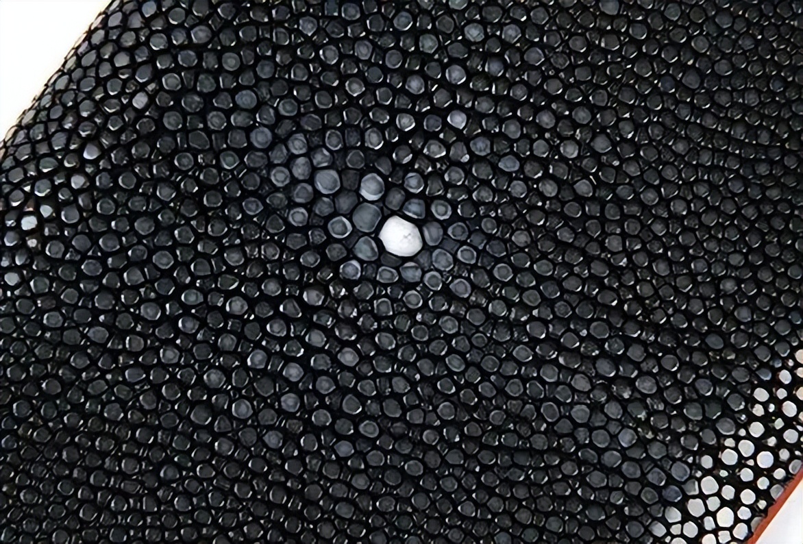 魔鬼鱼皮皮革,魔鬼鱼皮制品