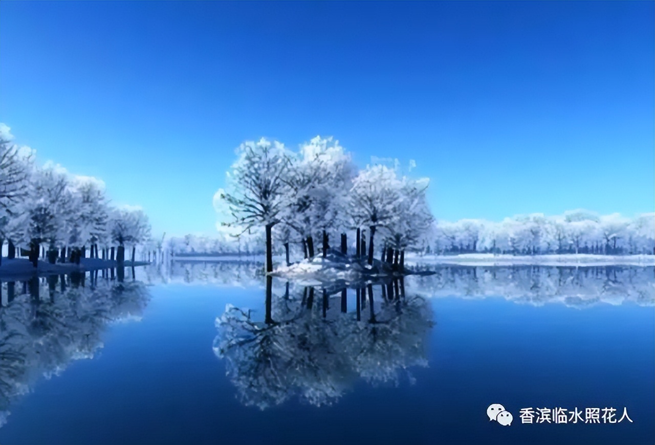 这儿真美作文三年级思维导图,三年级上册作文这儿真美思维导图