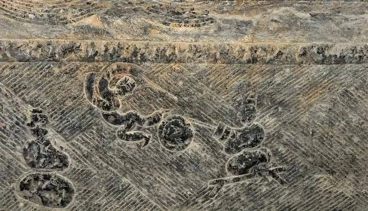 缺席世界杯的nba球员,缺席世界杯欧洲杯的球员