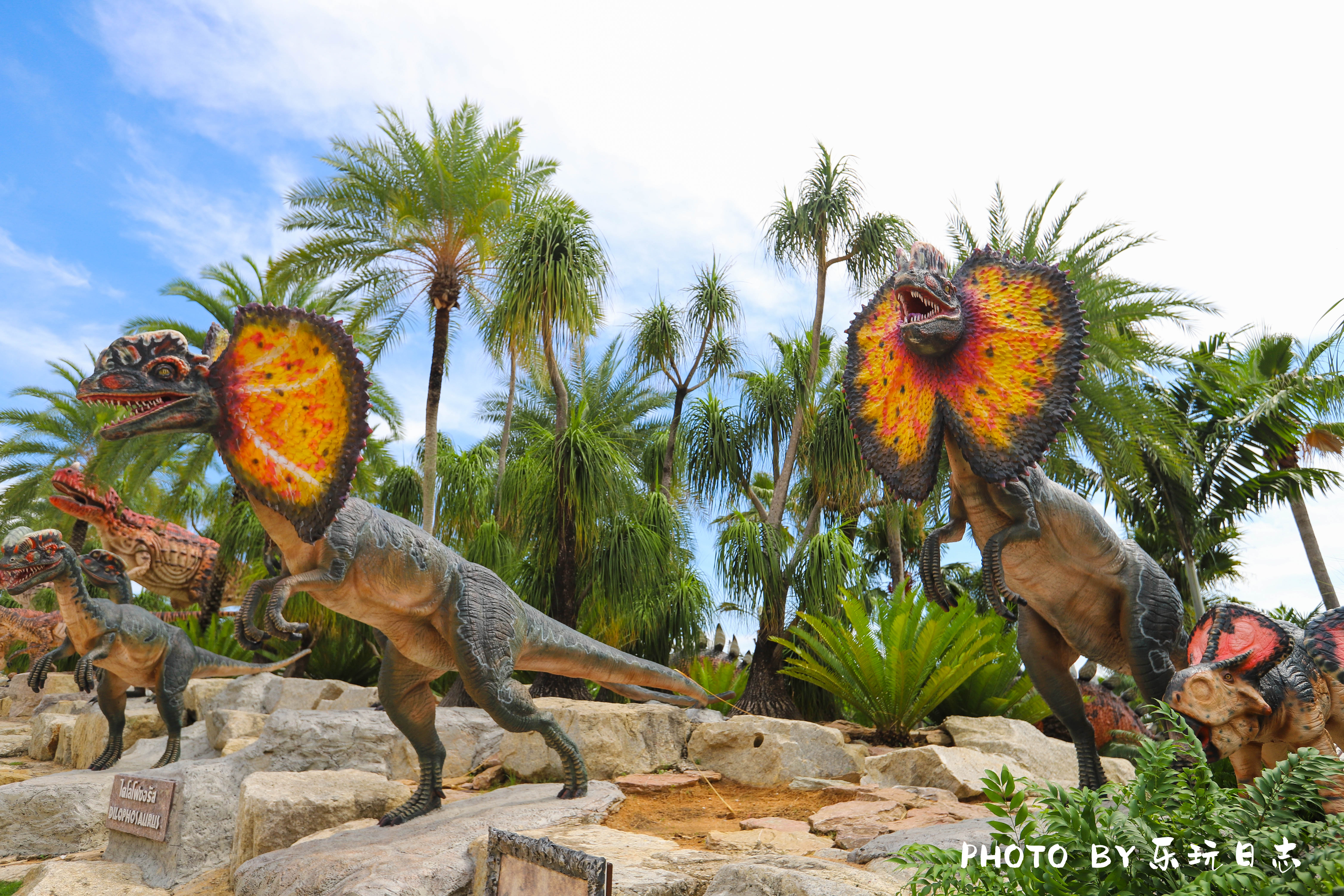 泰国热带公园,泰国东芭乐园占地面积