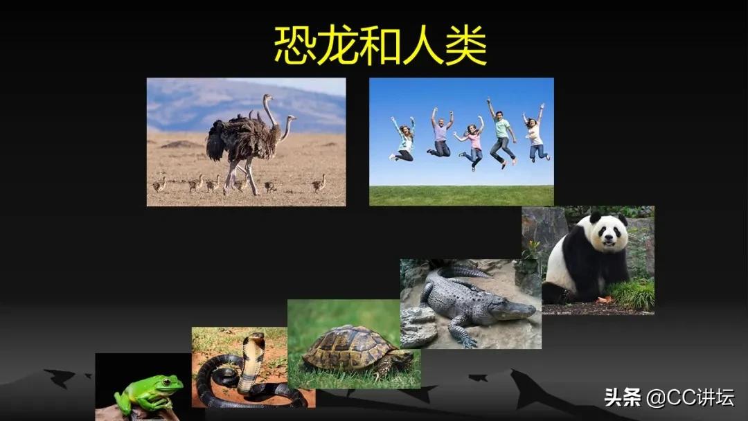 海洋恐龙和陆地恐龙,海洋恐龙与陆地生物对比