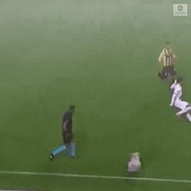 狗子冲进球场,狗子闯进足球比赛