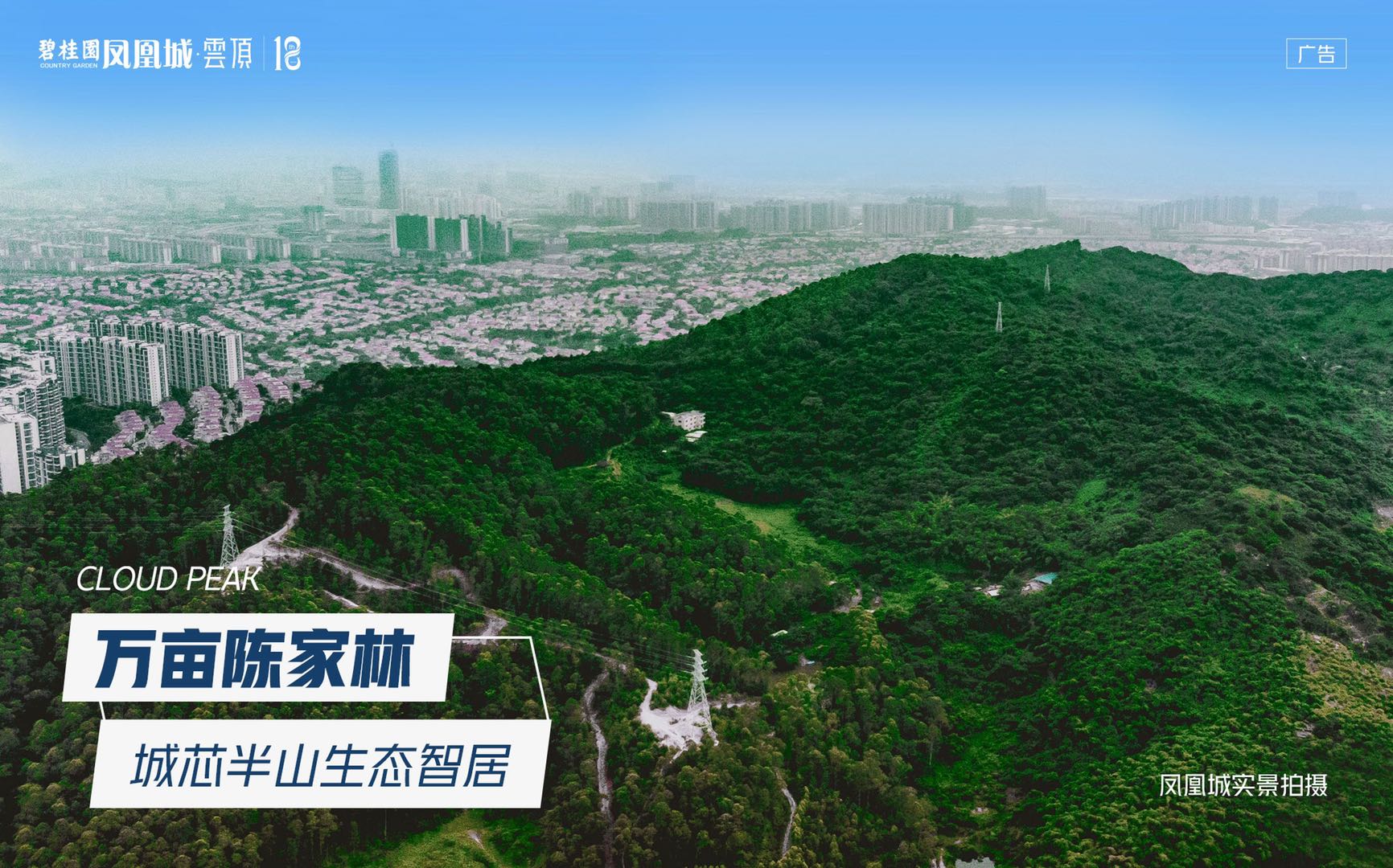 广州东不限购,凤凰城实验小学好还是应元学校好