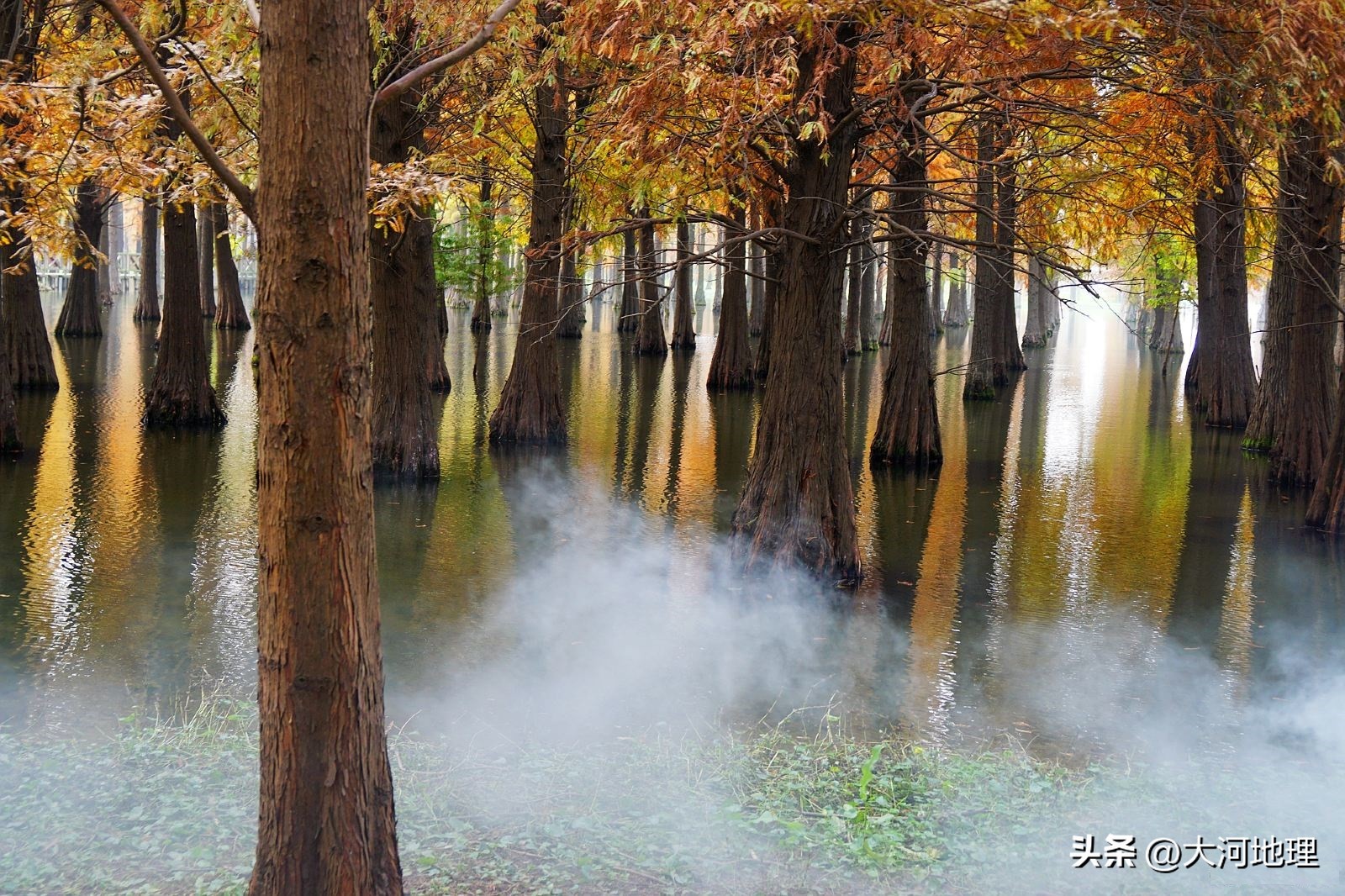 旅游攻略国内十大必去景点南方,中国南方著名景点