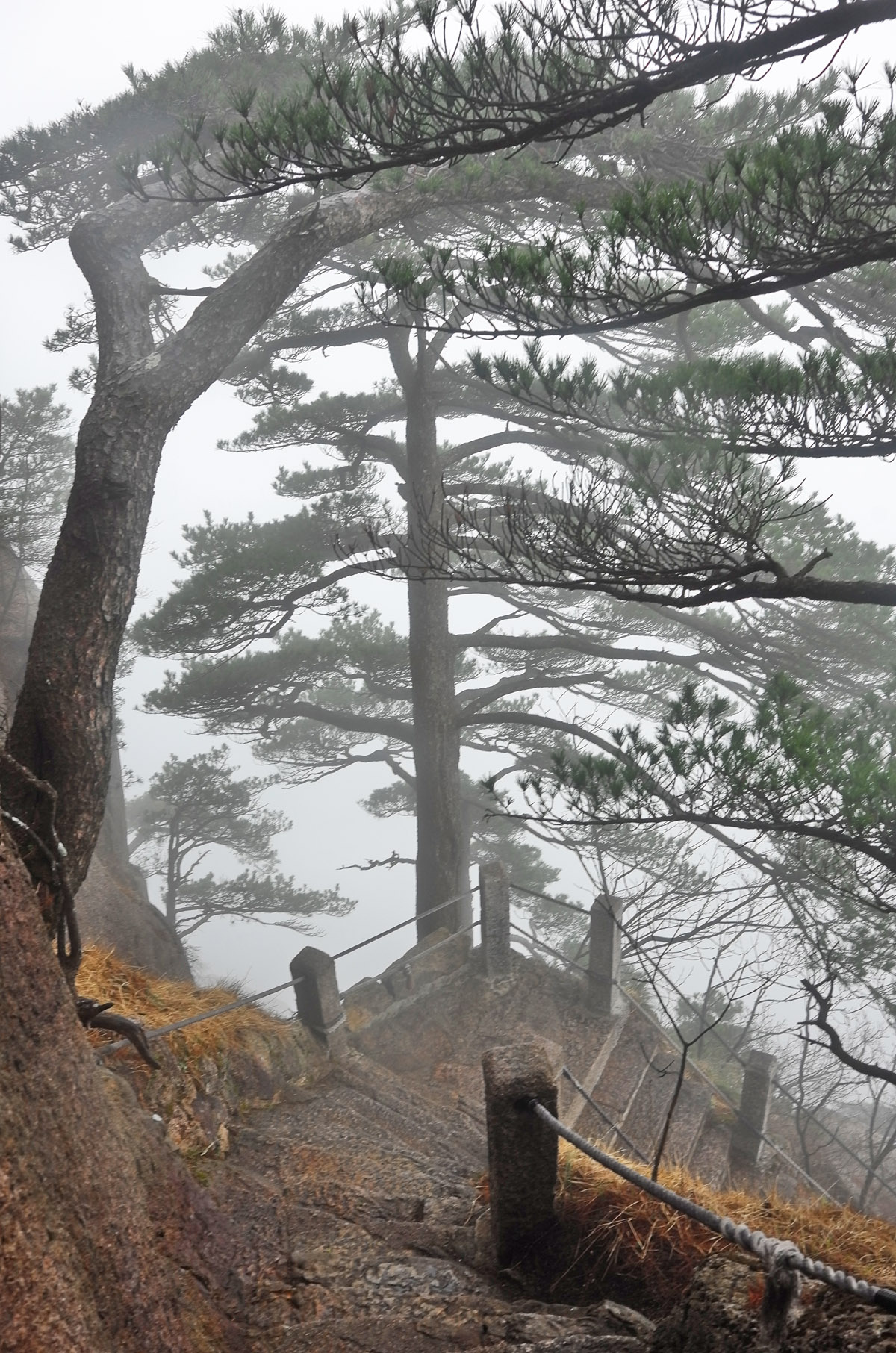 黄山慈光阁到玉屏楼步行多久,爬黄山从慈光阁开始的攻略
