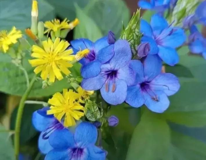 成功人士不轻易分享的自学秘诀,自学能力决定人生的高度和方法