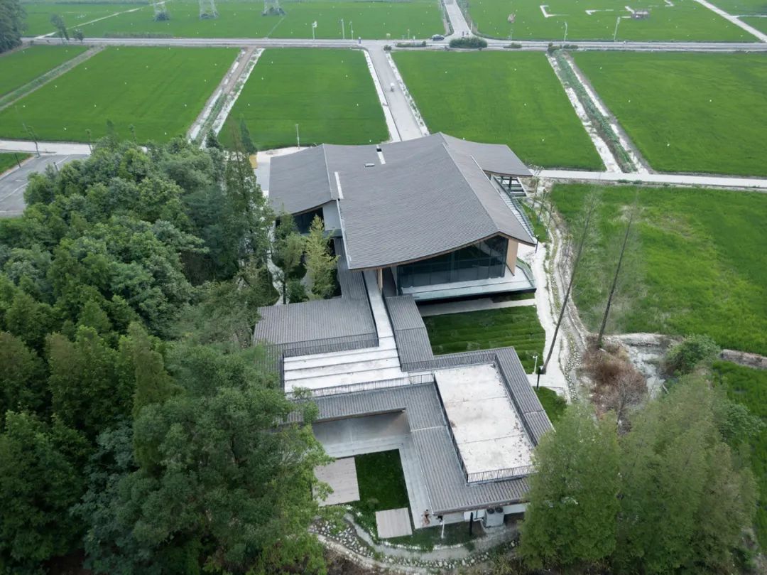 乡村振兴谋划不全不细典型案例,国内外乡村振兴典型代表及案例