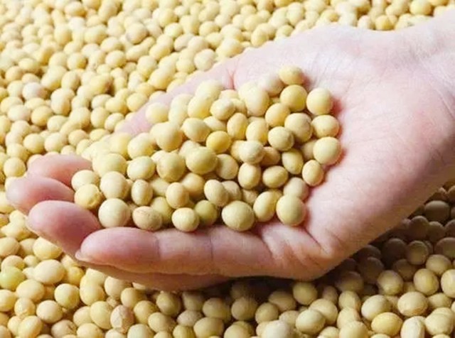 美国无法阻止中国的崛起,美国难以超越吗