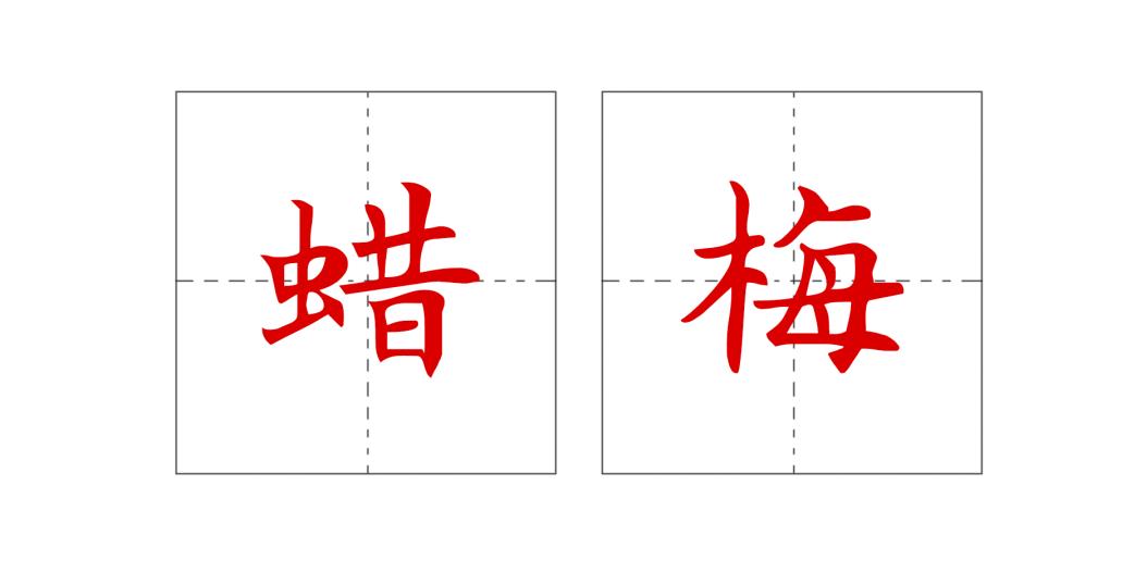 蜡梅还是腊梅小学三年级,蜡梅还是腊梅这些语文常识别弄错