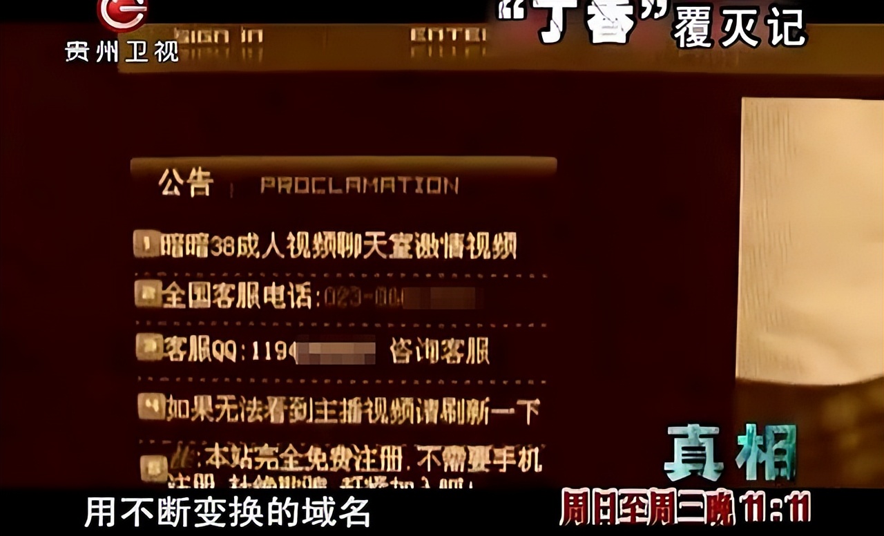 丁香覆灭记免费观看,丁香网覆灭记