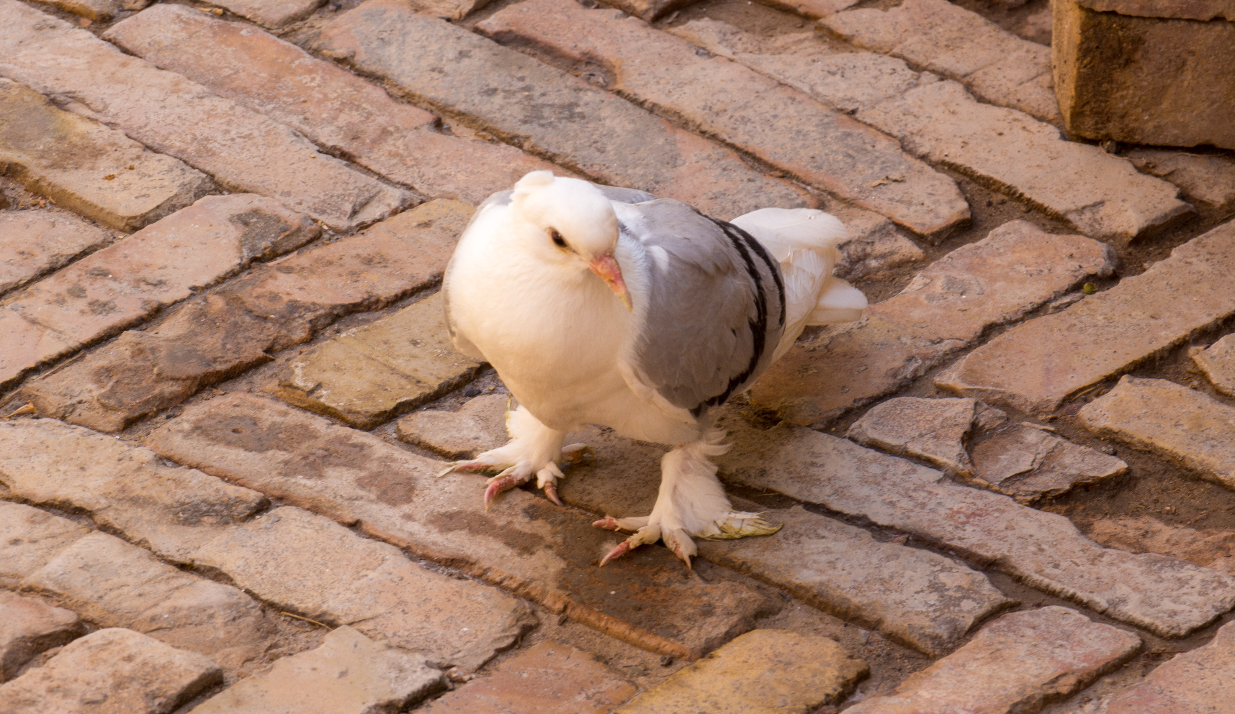 西部明珠喀什噶尔,中国最偏远的城市喀什市