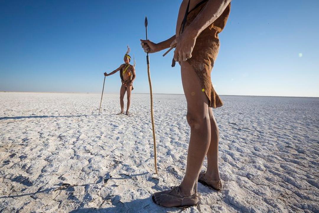 张园入春，纵横四海┃读者活动招募