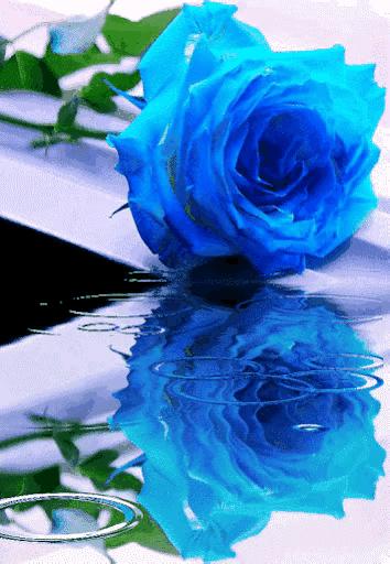 爱的能量只有有爱心的人才能吸收,爱是一种能量是一种力量