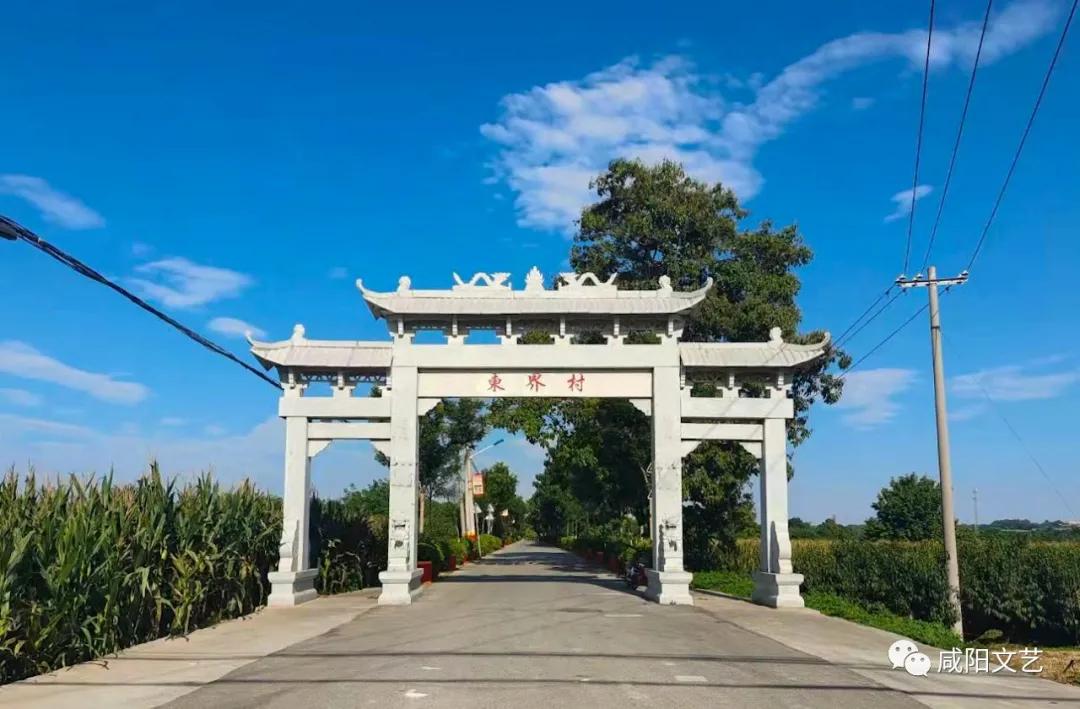 张艾：疫情来时乡情浓