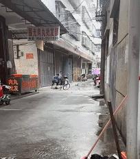 “是小蛇出了轨，还是青蛙劈了腿？”这是现实版的美杜莎？哈哈