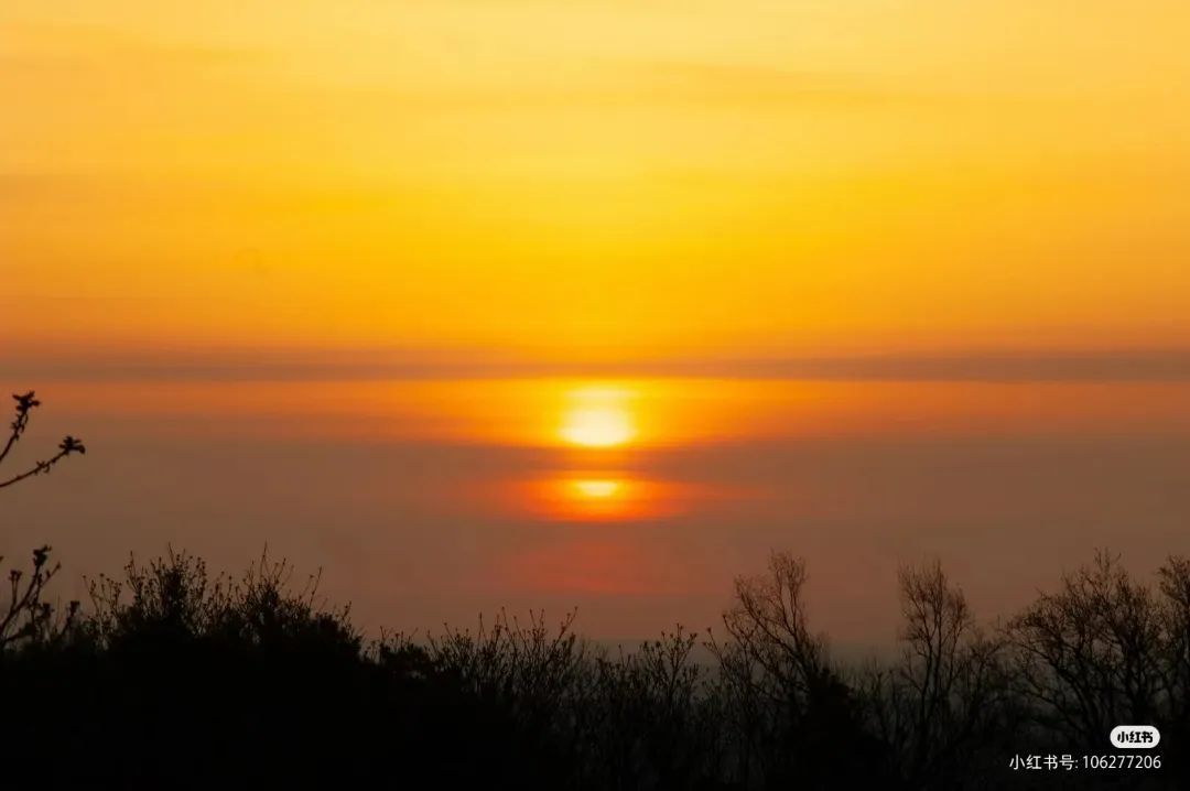 长春必去十大网红地,来长春打卡每日更新哪家火爆
