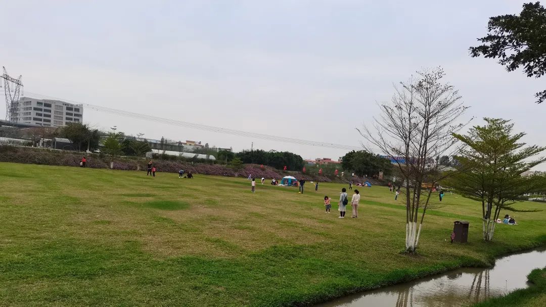 文章写作赚钱的方法,写作文章赚钱的方法