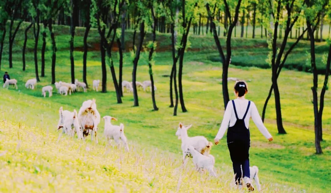 山东夏天去避暑最好的方法,夏日送清凉方案