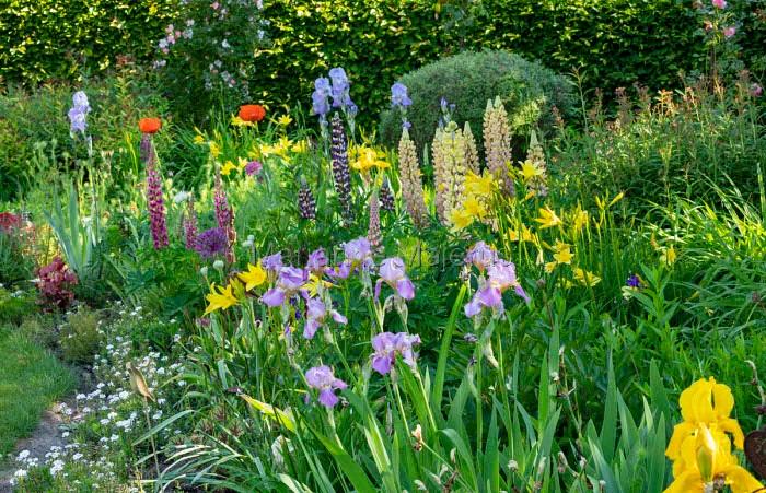 花园适合种的植物,在花园种植哪些植物比较适合