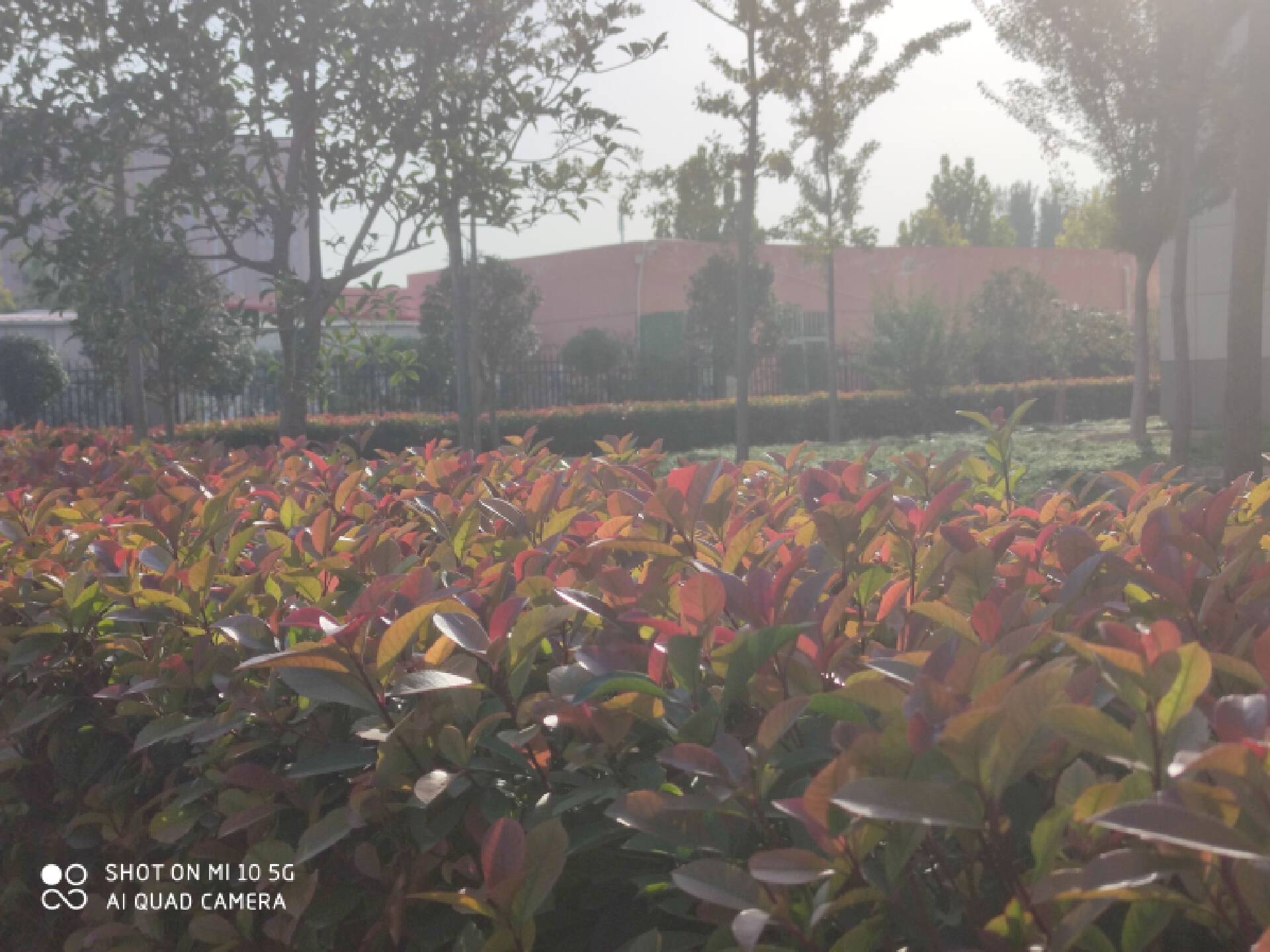 小米高端旗舰小米10上手体验,小米10至尊纪念版小白测评定制版