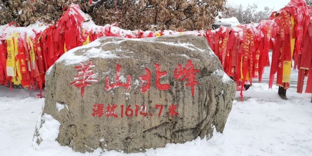 用车成本最低的豪华b级车,用车成本最便宜的豪华车