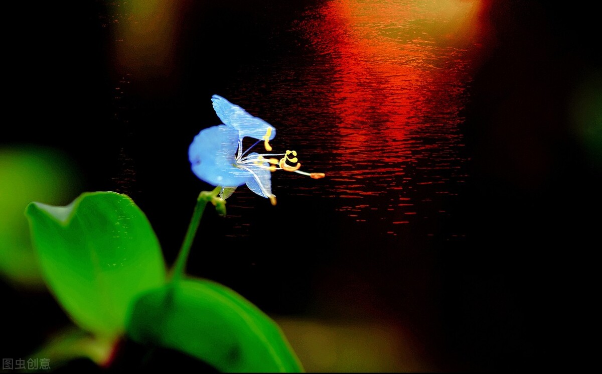 清都的原创诗词，4年作品合集，用文字记录生活