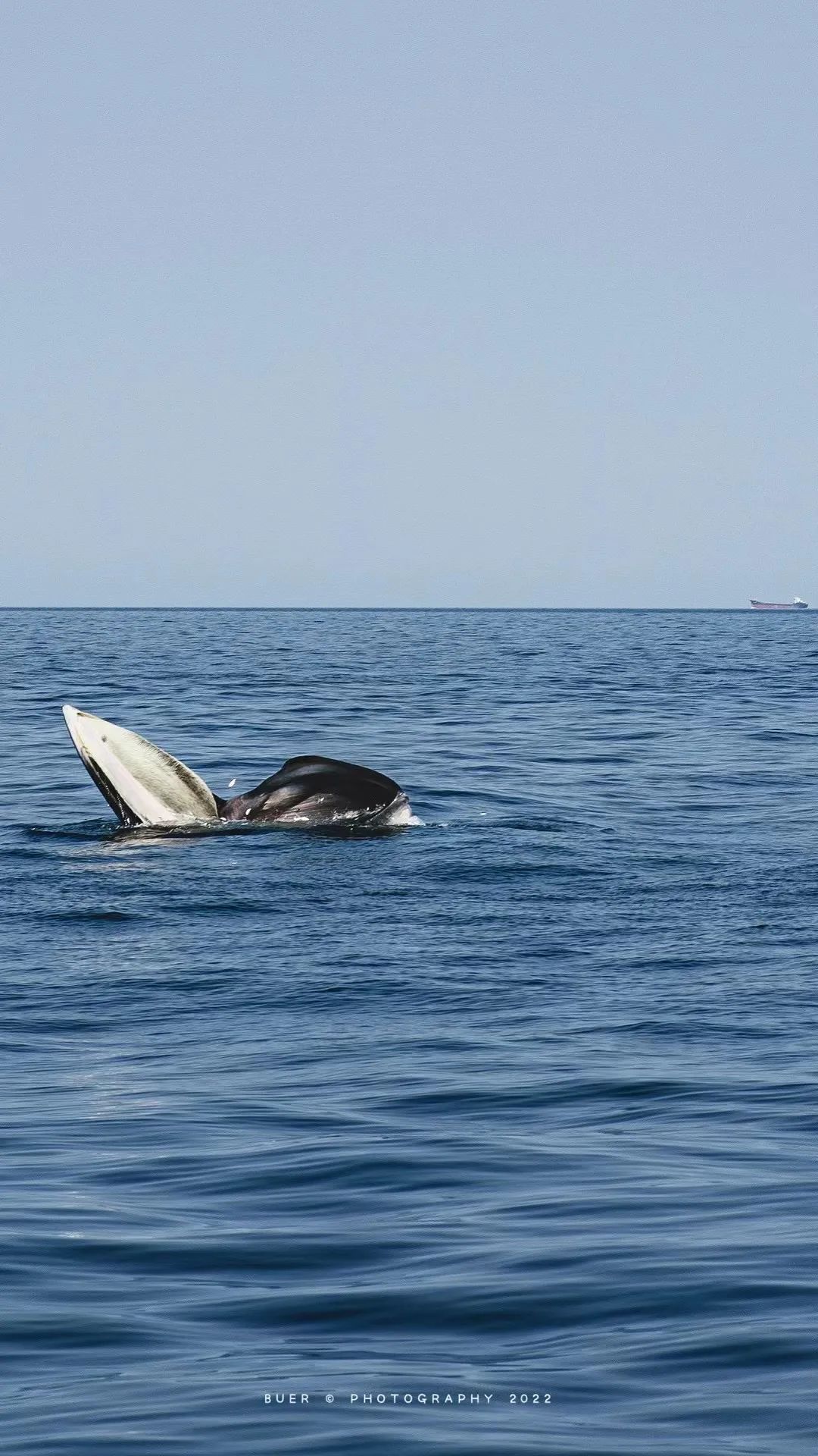 这座岛究竟有何神奇之处,怎么玩海陵岛不踩坑