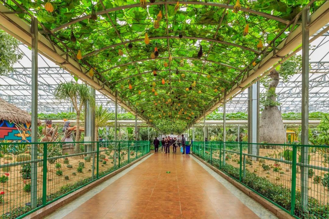 物种进化和系统升级,物种重塑