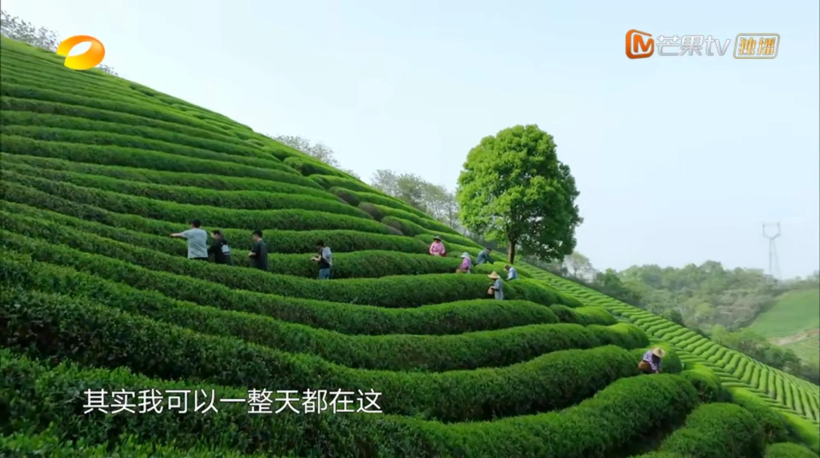 向往的离别：重复很多无聊的话，唱了很多无聊的歌，然后哭了