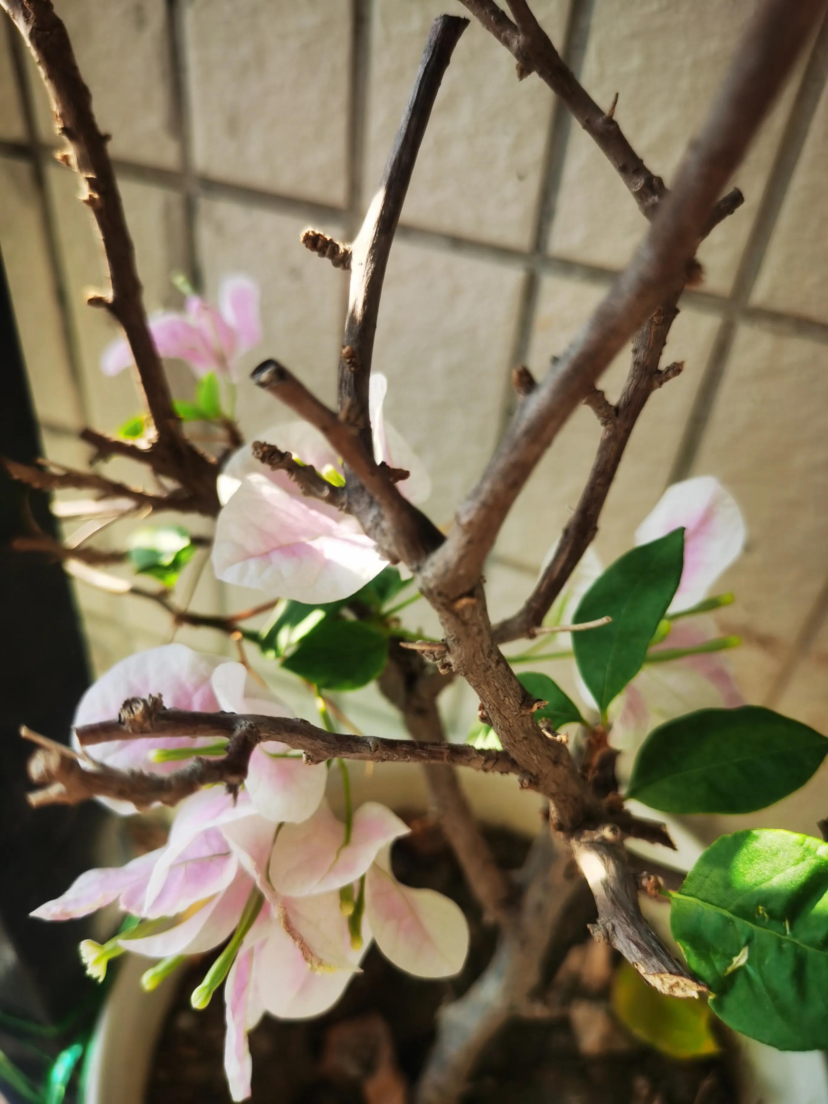 老公有了婚外情该怎么做,老公有了婚外恋情该怎么办